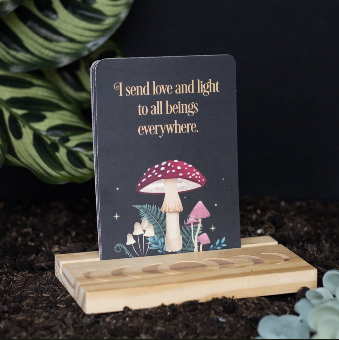 Affirmation cards with wooden stand